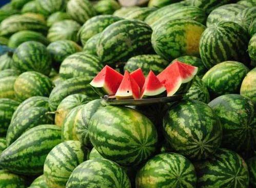 ooooo推特网红吃瓜,从吃瓜到爆红，看看他们如何玩转社交媒体！  第3张